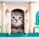 il gatto consigli per farlo sentire a casa
